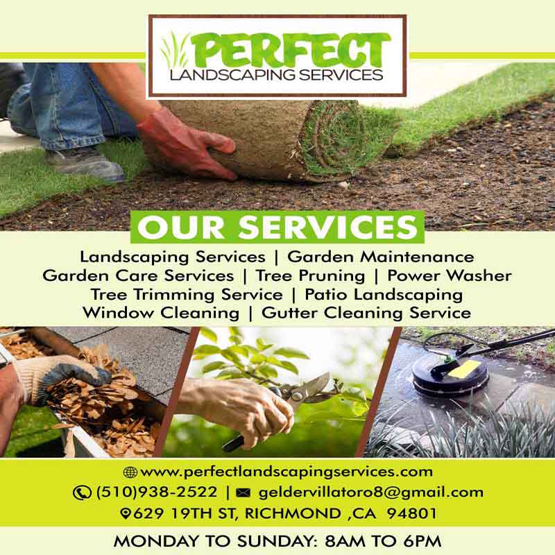 Perfect Landscaping Services | Landscape gardeners in Richmond